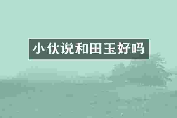 小伙说和田玉好吗