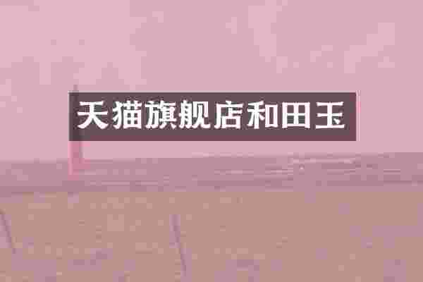 天猫旗舰店和田玉