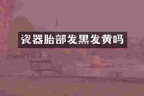 瓷器胎部发黑发黄吗
