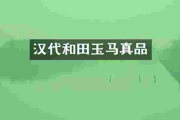 汉代和田玉马真品