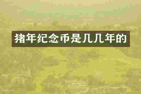 猪年纪念币是几几年的