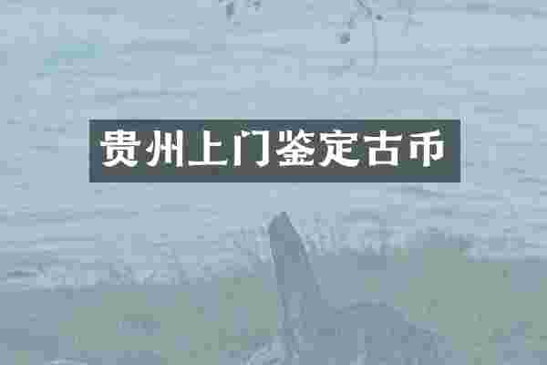 贵州上门鉴定古币