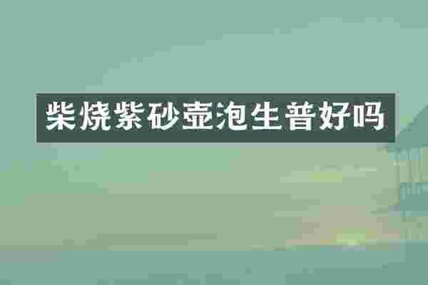柴烧紫砂壶泡生普好吗