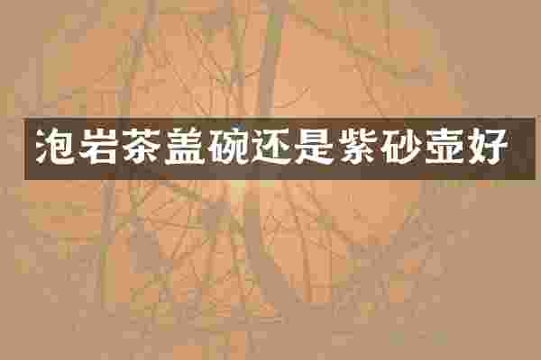 泡岩茶盖碗还是紫砂壶好