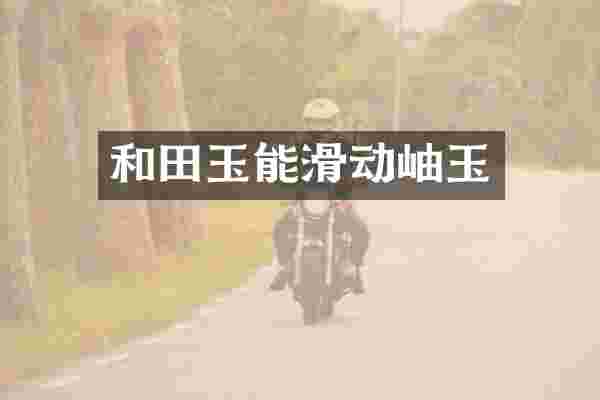 和田玉能滑动岫玉