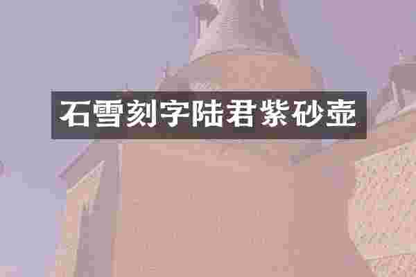 石雪刻字陆君紫砂壶