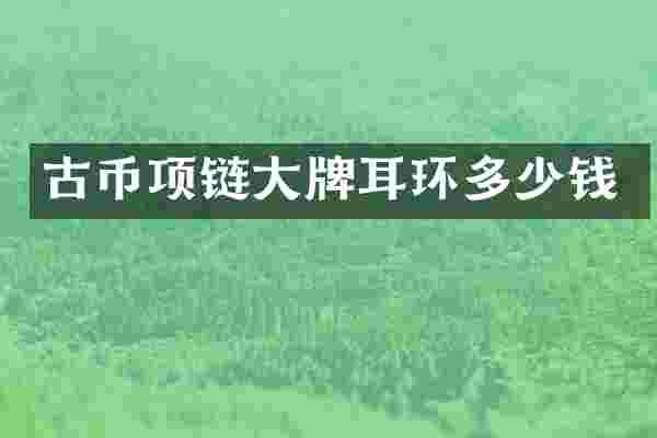 古币项链大牌耳环多少钱