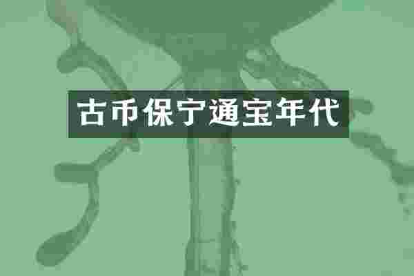 古币保宁通宝年代