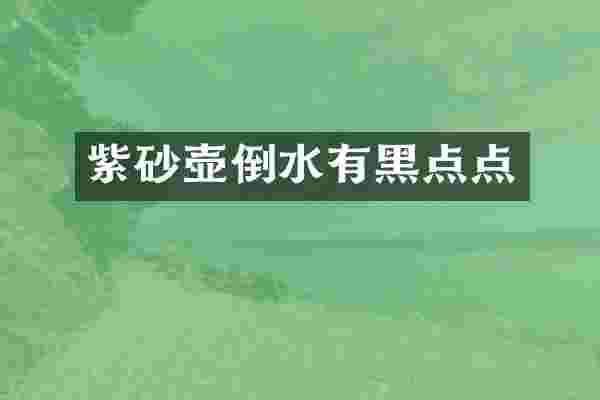 紫砂壶倒水有黑点点