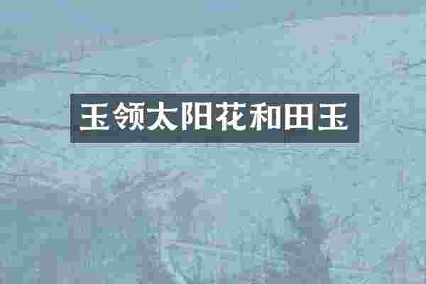 玉领太阳花和田玉