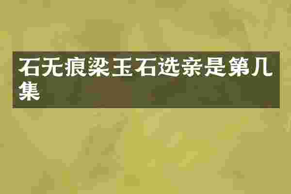 石无痕梁玉石选亲是第几集