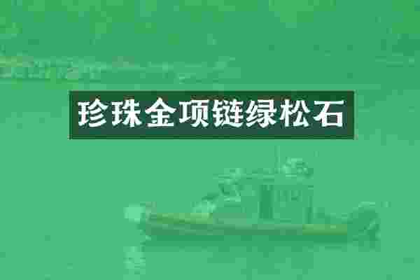 珍珠金项链绿松石