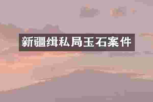 新疆缉私局玉石案件