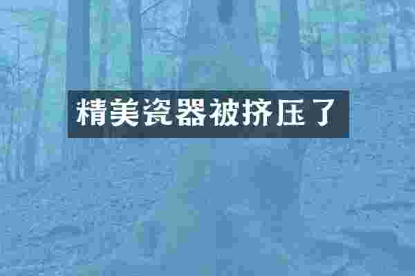 精美瓷器被挤压了