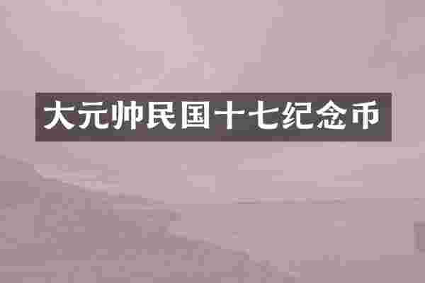 大元帅民国十七纪念币