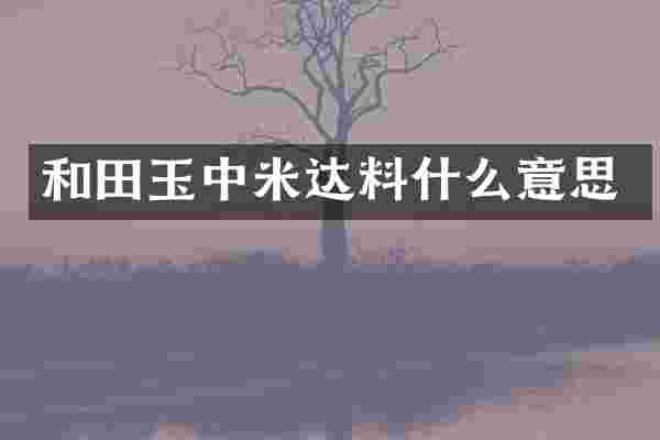 和田玉中米达料什么意思