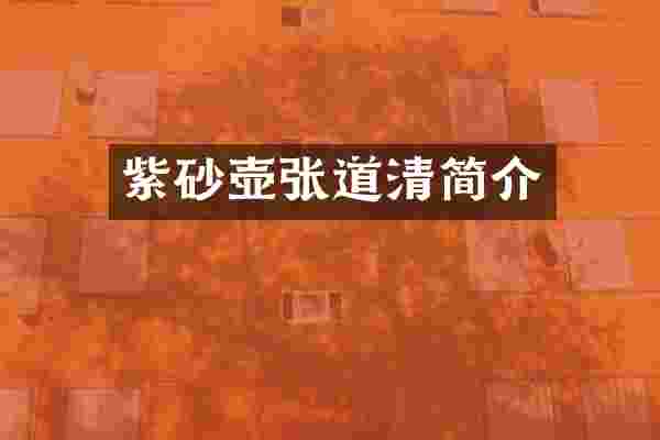 紫砂壶张道清简介