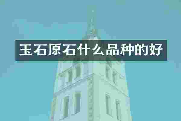 玉石原石什么品种的好