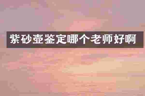 紫砂壶鉴定哪个老师好啊