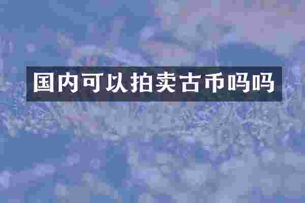国内可以拍卖古币吗吗