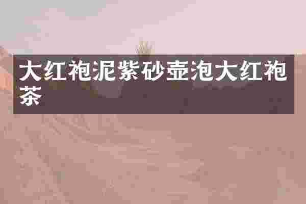 大红袍泥紫砂壶泡大红袍茶
