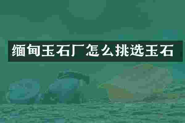 缅甸玉石厂怎么挑选玉石