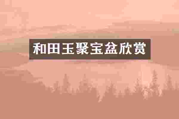 和田玉聚宝盆欣赏