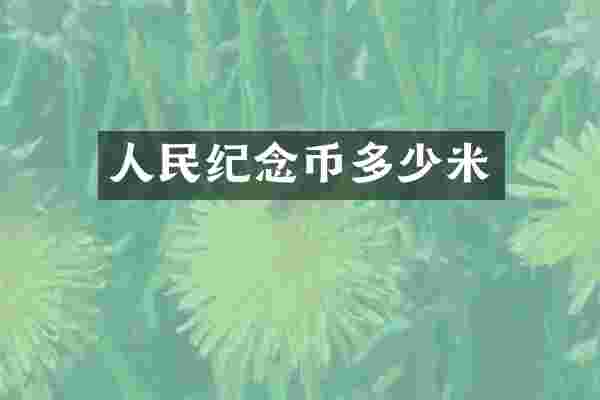 人民纪念币多少米