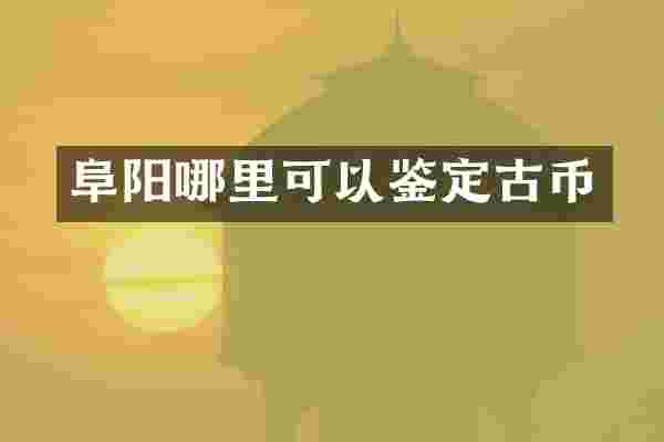 阜阳哪里可以鉴定古币