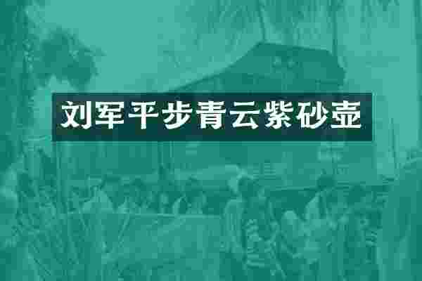 刘军平步青云紫砂壶