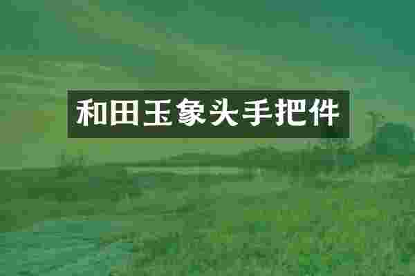 和田玉象头手把件