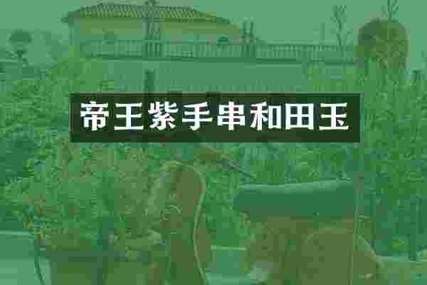 帝王紫手串和田玉