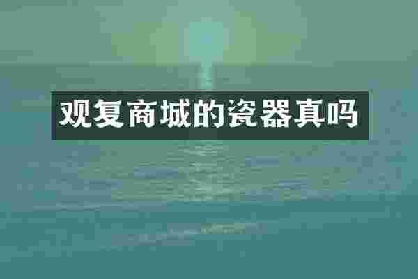 观复商城的瓷器真吗