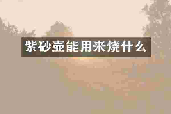 紫砂壶能用来烧什么