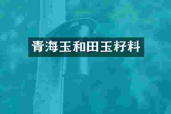 青海玉和田玉籽料