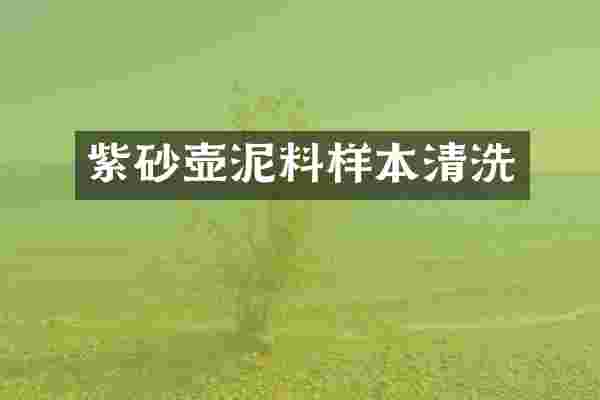 紫砂壶泥料样本清洗
