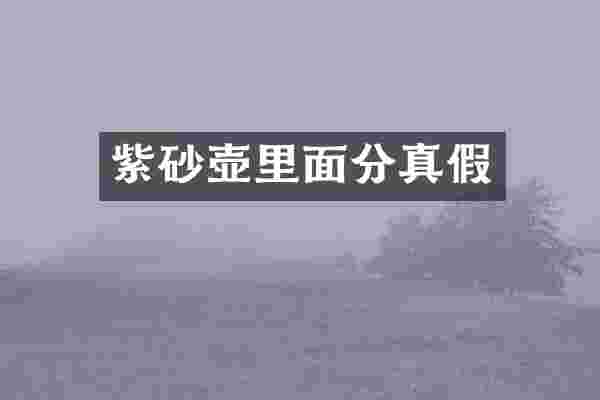 紫砂壶里面分真假