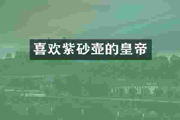 喜欢紫砂壶的皇帝