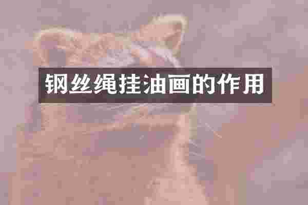 钢丝绳挂油画的作用
