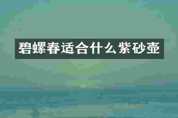碧螺春适合什么紫砂壶