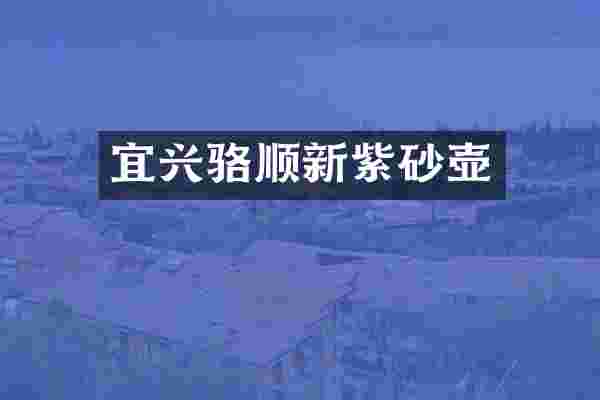 宜兴骆顺新紫砂壶