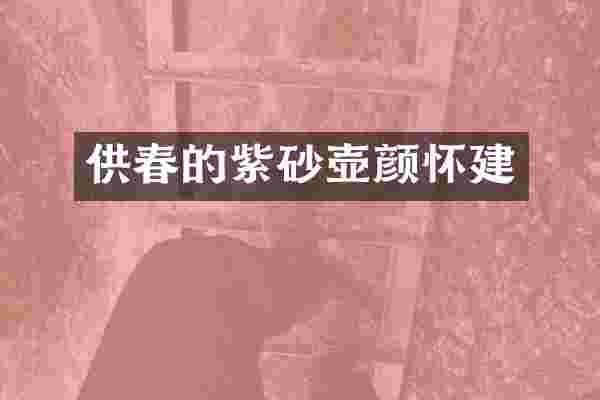 供春的紫砂壶颜怀建