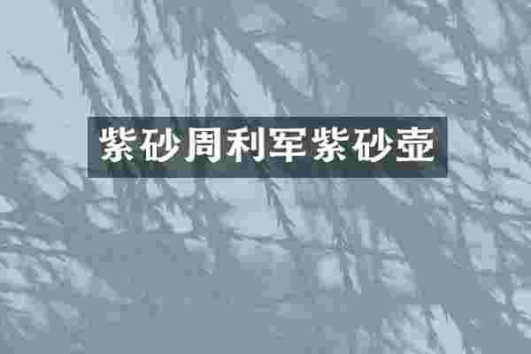 紫砂周利军紫砂壶