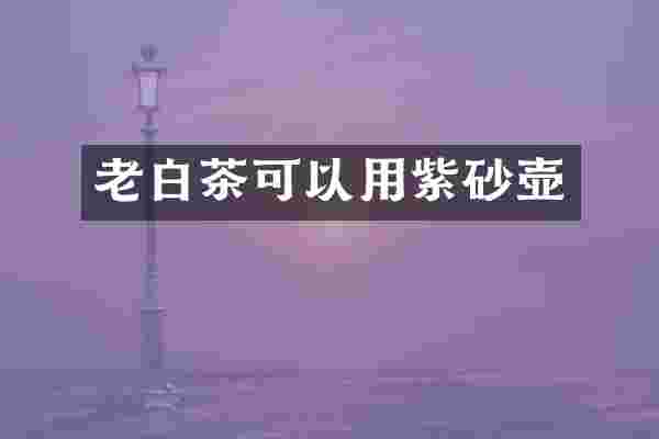 老白茶可以用紫砂壶