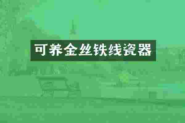 可养金丝铁线瓷器