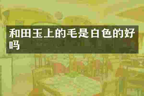 和田玉上的毛是白色的好吗