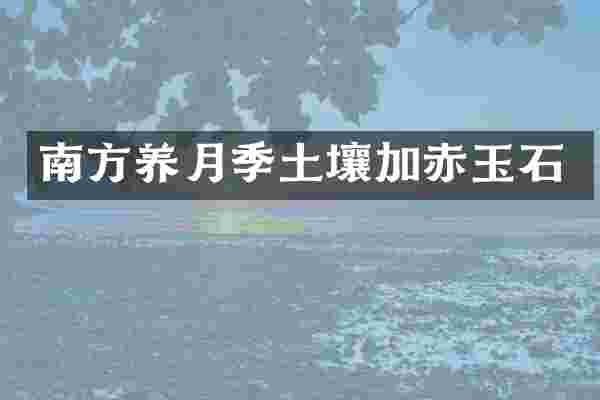 南方养月季土壤加赤玉石
