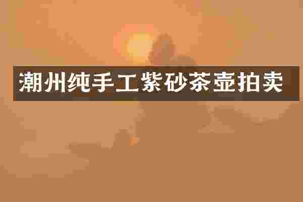 潮州纯手工紫砂茶壶拍卖