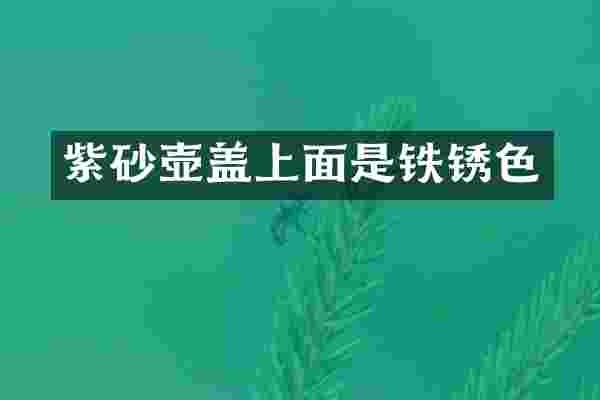 紫砂壶盖上面是铁锈色