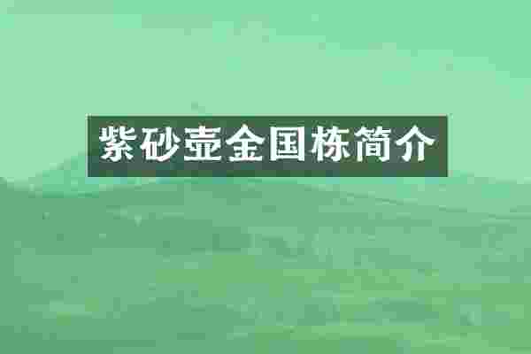紫砂壶金国栋简介